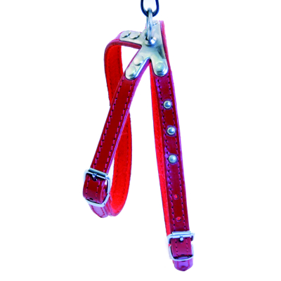 Harnais en cuir - Feutrine et clou - T45 - Rouge