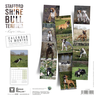 Calendar - Staffordshire Bull Terrier - 2027
