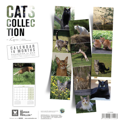 Calendrier - Chats - 2027