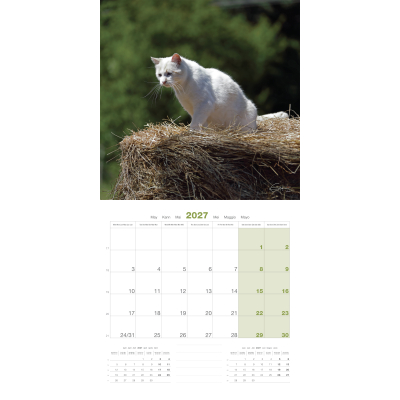 Calendrier - Chats - 2027