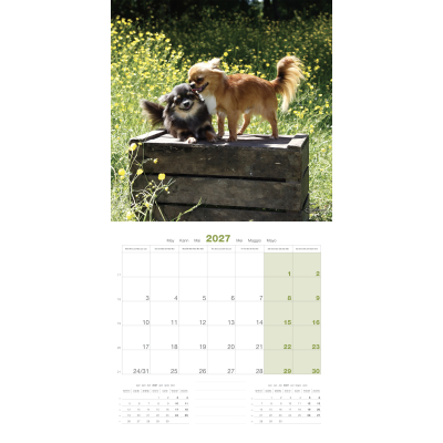 Calendar - Chihuahua - 2027