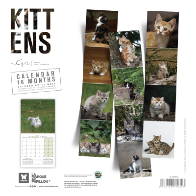Calendar - Kittens - 2027