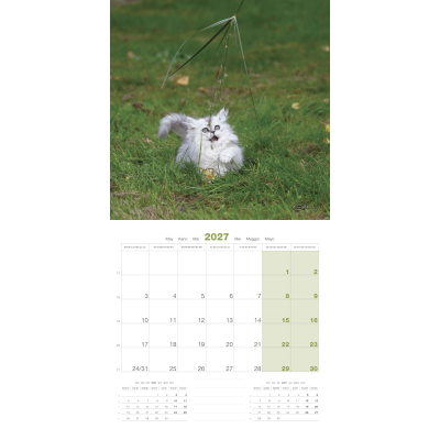Calendar - Kittens - 2027