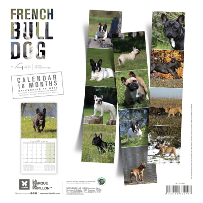 Calendar - French Bulldog - 2027
