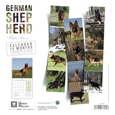 Calendrier - Berger Allemand - 2027