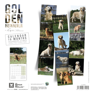 Calendar - Golden Retriever - 2027