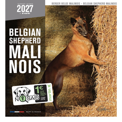Calendrier - Berger Belge Malinois - 2027 1