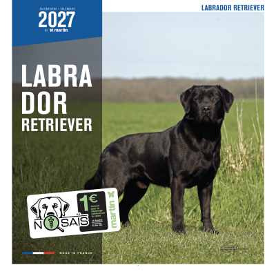 Calendar - Labrador - 2027 1