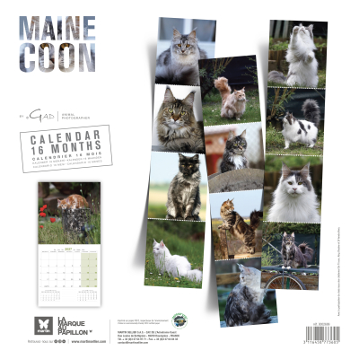 Calendar - Maine Coon - 2027