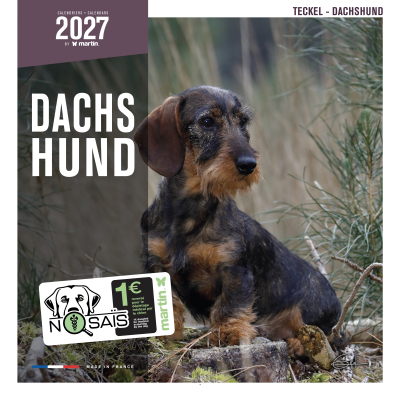 Calendar - Dachshund - 2027 1