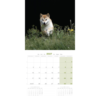 Calendar - Shiba Inu - 2027