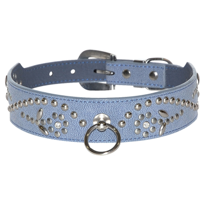 Blue west collar for dog - Lenght 60cm - width 35mm