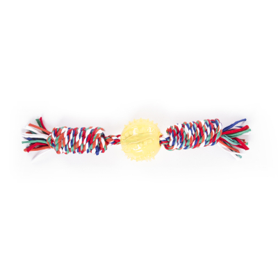 Toy for small dogs and puppies - Set of 4 ropes + balls