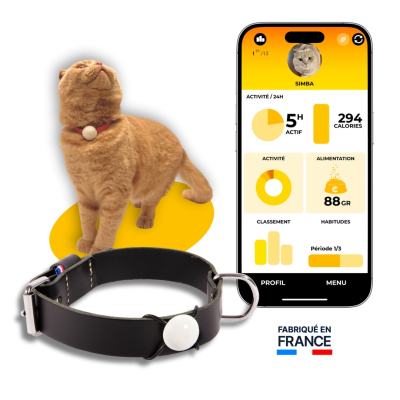 Martin Coach - nutrition and activity tracking for cats