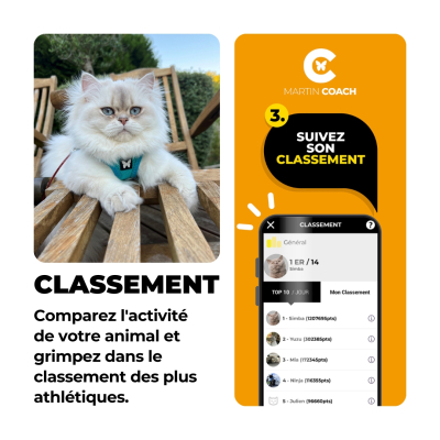 Martin Coach - nutrition and activity tracking for cats