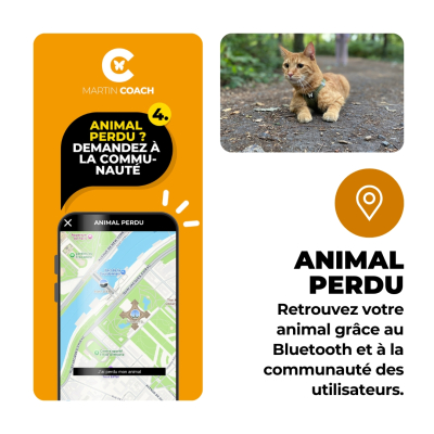 Martin Coach - nutrition and activity tracking for cats