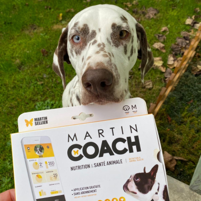 Martin Coach - nutrition and activity tracking for dogs