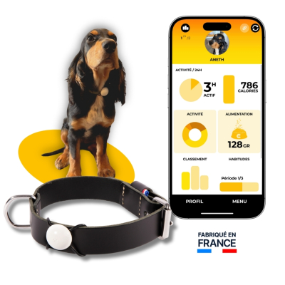 Martin Coach - nutrition and activity tracking for dogs