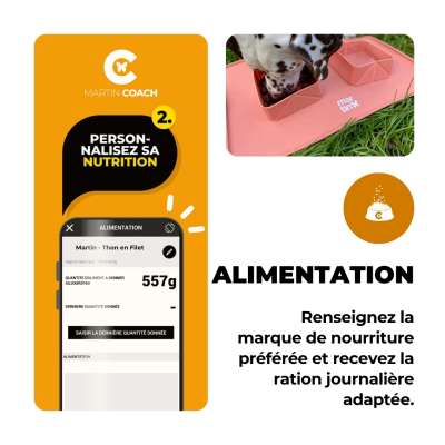 Martin Coach - nutrition and activity tracking for dogs