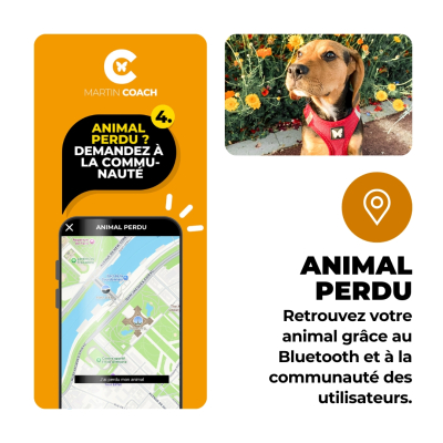 Martin Coach - nutrition and activity tracking for dogs