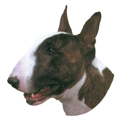 Autocollant Bull Terrier - 15cm