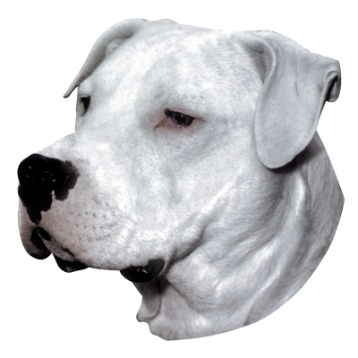 Autocollant Dogue Argentin - 15cm