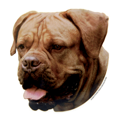 Autocollant Dogue de Bordeaux - 15cm