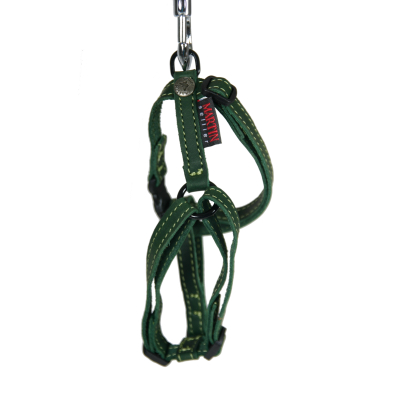 Nature Leather Adjustable Harness 50-70 x 2 cm