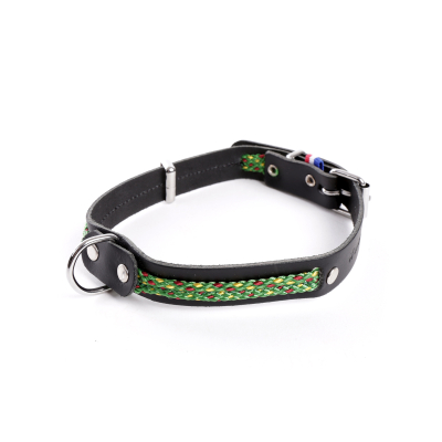Leather and nylon collar - Colorado - 25/31cm - 1.4cm - green