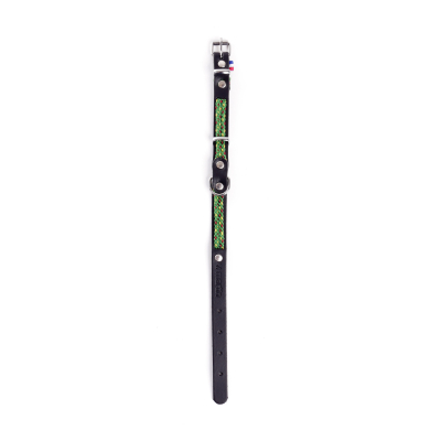 Leather and nylon collar - Colorado - 25/31cm - 1.4cm - green