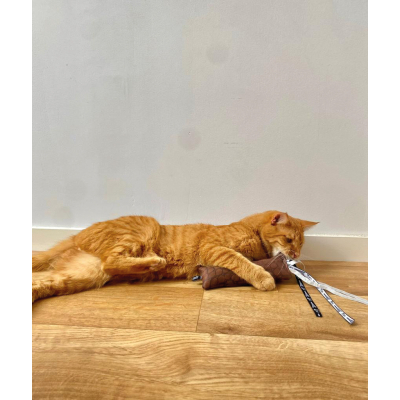 Long Leather Toy for Cat