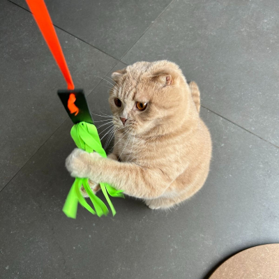 Leather Toy for Cat The Rocket