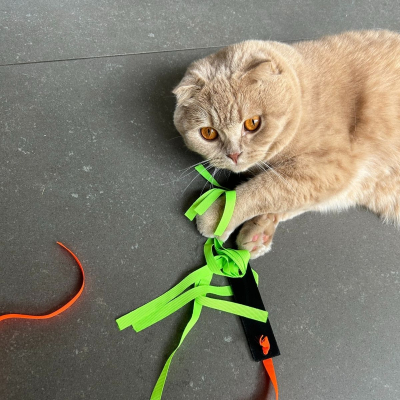 Leather Toy for Cat The Rocket
