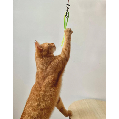 Leather Toy for Cat Le Multiple