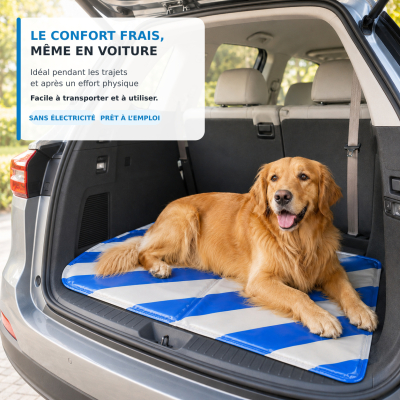 Cooling mat - Refresh - T65 - blue 1