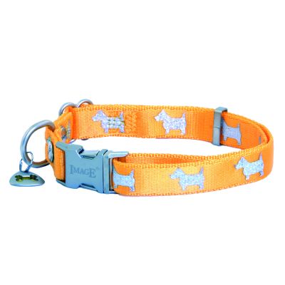 Collier pour chien - Happy