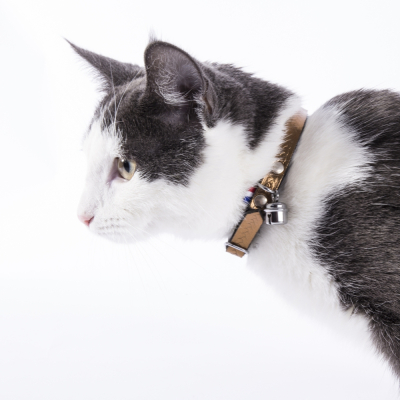 Collier chat en cuir/feutrine - Tressé - <30cm - 1.1cm - marron 1
