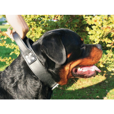 Collier d'intervention en cuir noir pour chien avec poignée - Black & Métal - larg 50mm Long 85cm