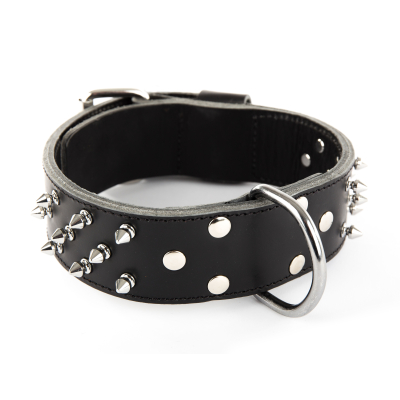 Collier chien en cuir pleine fleur - 65 cm