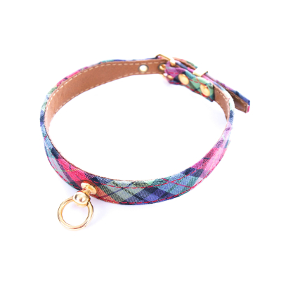 Collier en nylon - Benton - <30cm - 1.2cm - vert 1