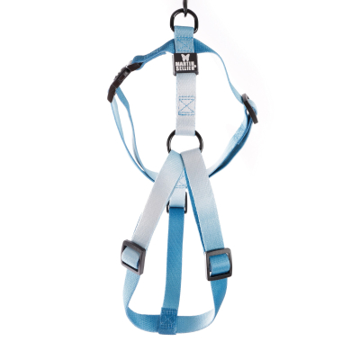 Harnais en nylon - Color vibe - 25/35cm - 1cm - bleu