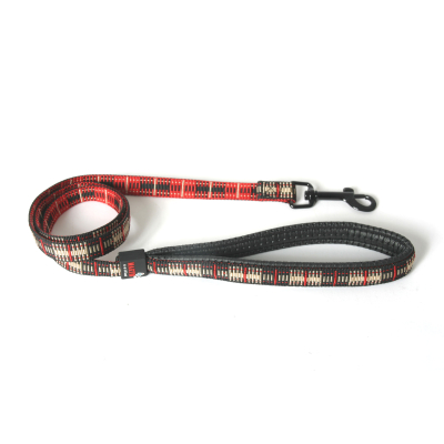 Laisse pour chien - Scotland beige