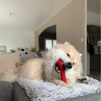 Rubb'n'Red Red Bone Toy - XL - 22 cm