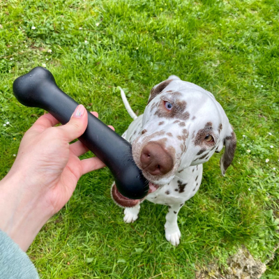 Rubb'n'Black Black Bone Toy - XL - 22 cm