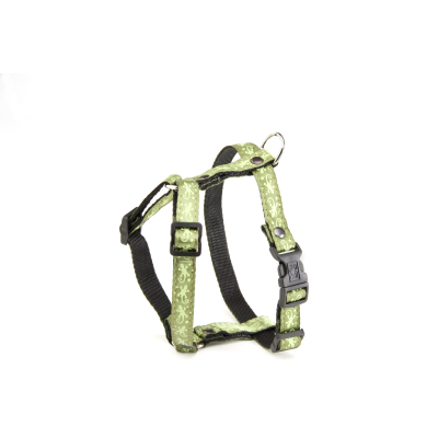 Harnais pour chien - Salamandre vert