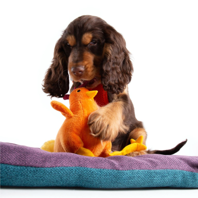 Plush toy for dogs - Orange rooster