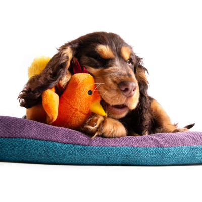 Plush toy for dogs - Orange rooster