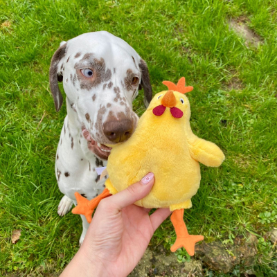 Plush toy for dog - Yellow chicken