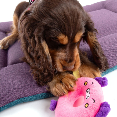 Plush toy for dog - Donut pig