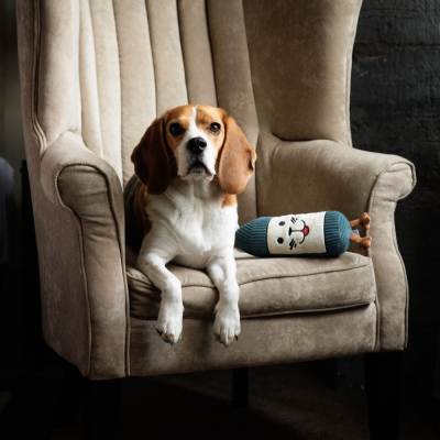 Plush dog toy - Wine bottle